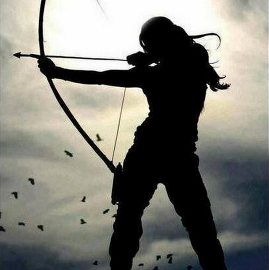 Об  устремлениях