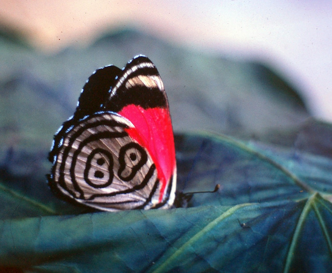 НОВАЯ РЕАЛЬНОСТЬ